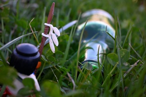 Bild-Flasche-web